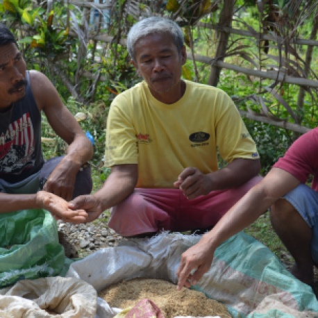 Small organic farmers of San Roque Farmers’ Association (SRFA) in Aloguinsan, Cebu show their stock of different rice seeds. They breed their own rice lines and make bio-pesticides and fertilizers from indigenous materials found in their immediate environment.