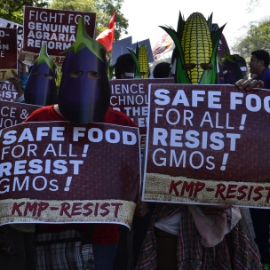Farmers who are at the same time consumers join the February 23, 2016 mass action for meaningful public consultation on the new guidelines for genetically modified organisms (GMOs).