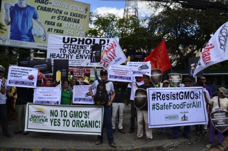 At the Department of Agriculture (DA), producers and consumers call on the DA Secretary Proceso Alcala not to sign the Joint Department Circular on GMOs. They called for more research and development budget for sustainable agriculture especially organic farming instead of pouring resources on the environmentally destructive GMOs which still requires use of pesticides.